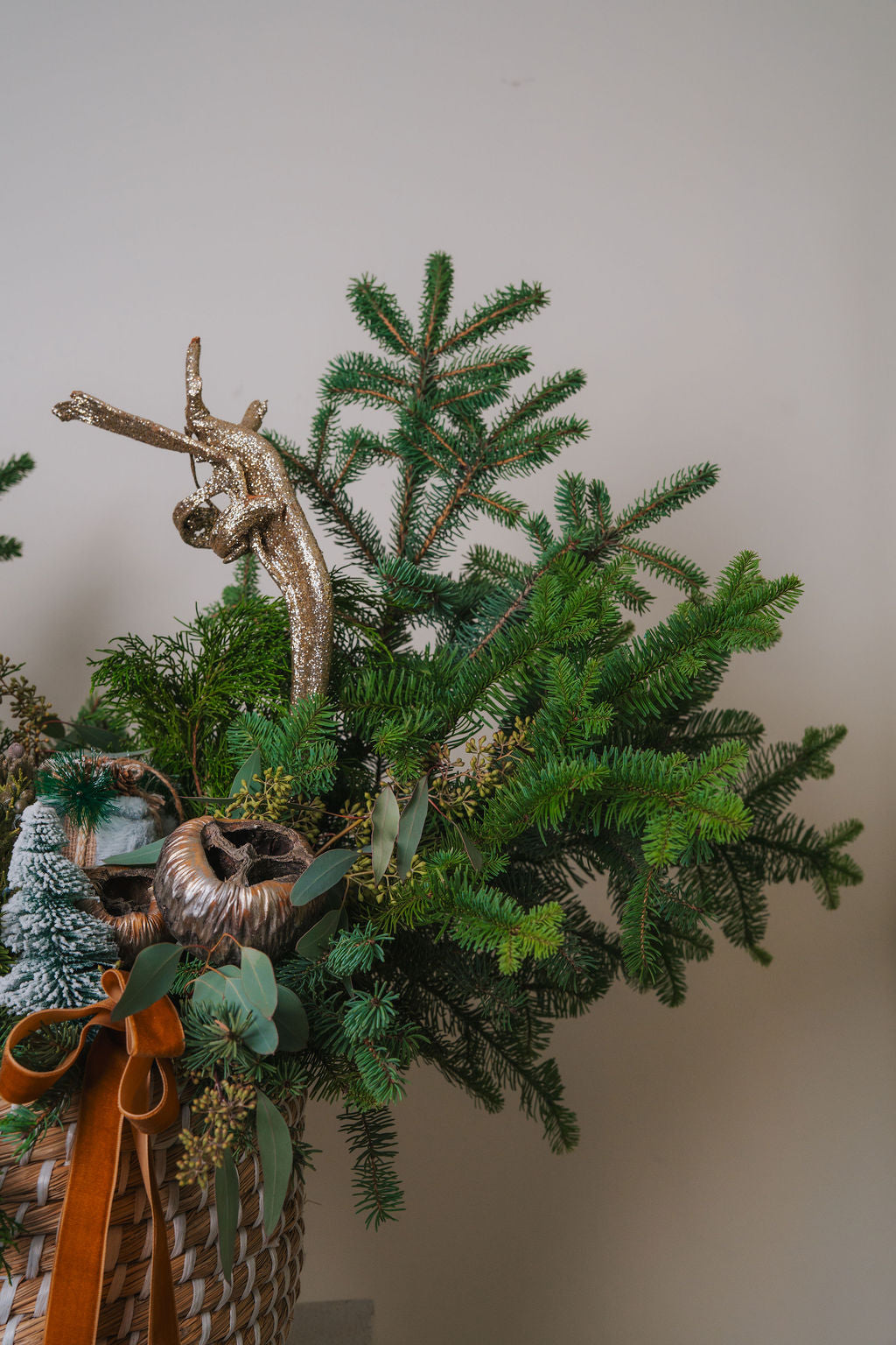Noble Forest Collection #2
