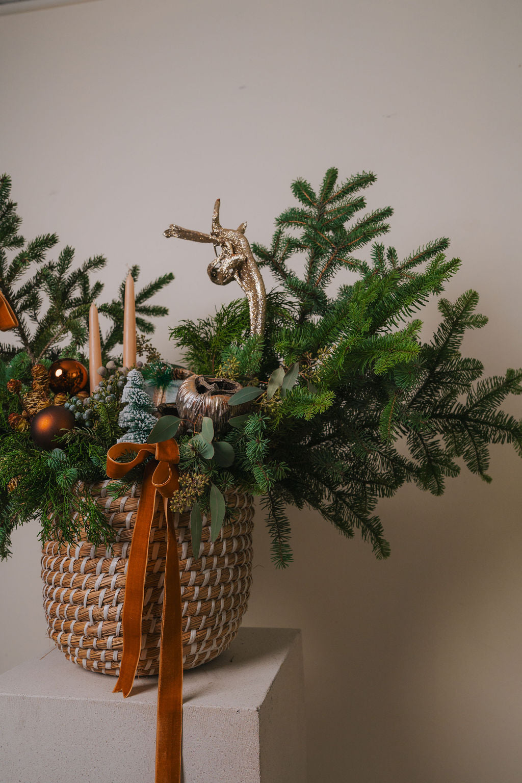 Noble Forest Collection #2