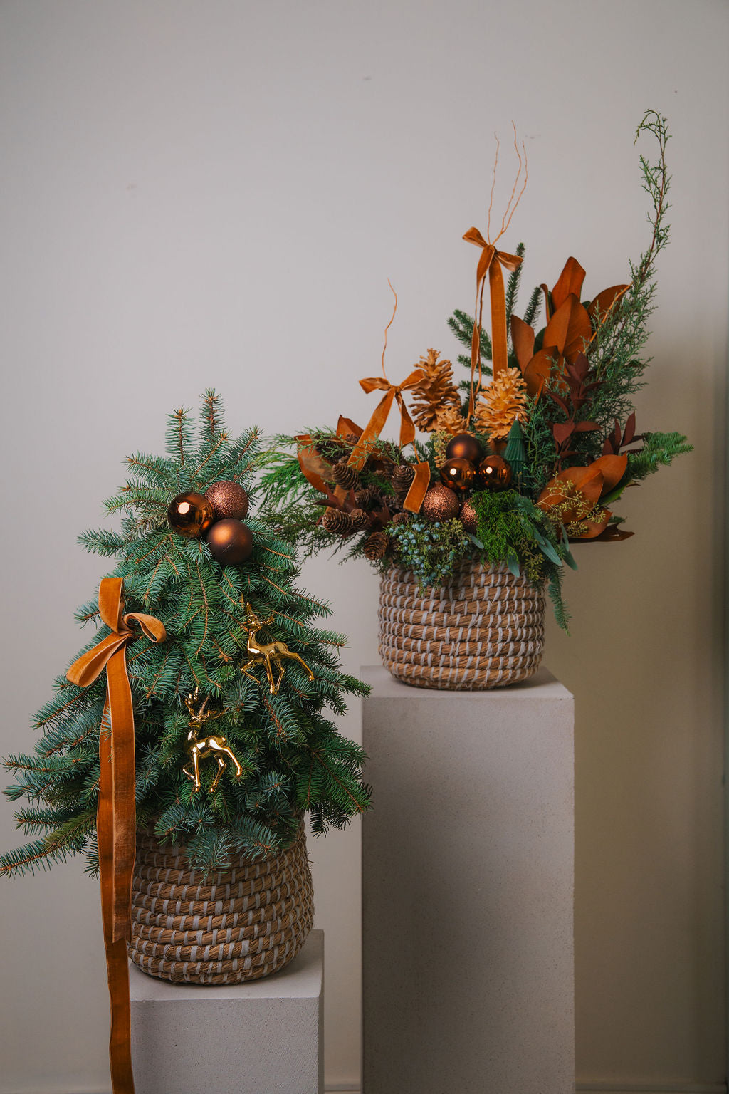 Noble Forest Collection #1