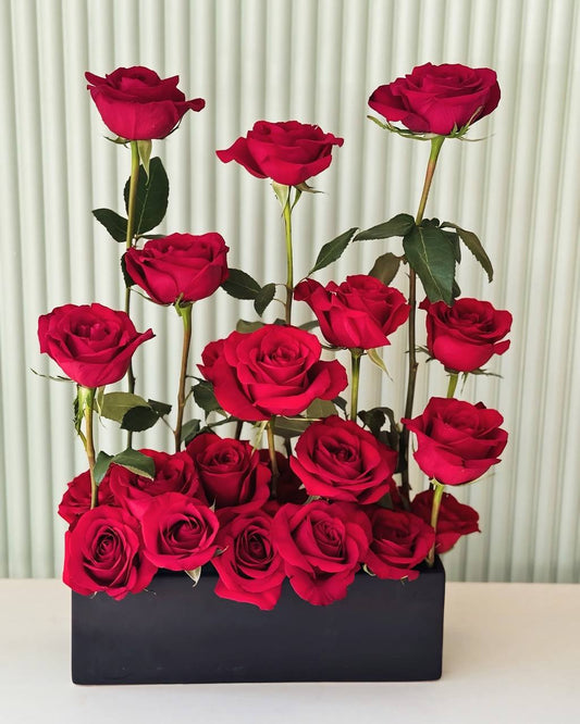 Luxury red rose box floral arrangement with tall and short stems – Aurora , Newmarket delivery